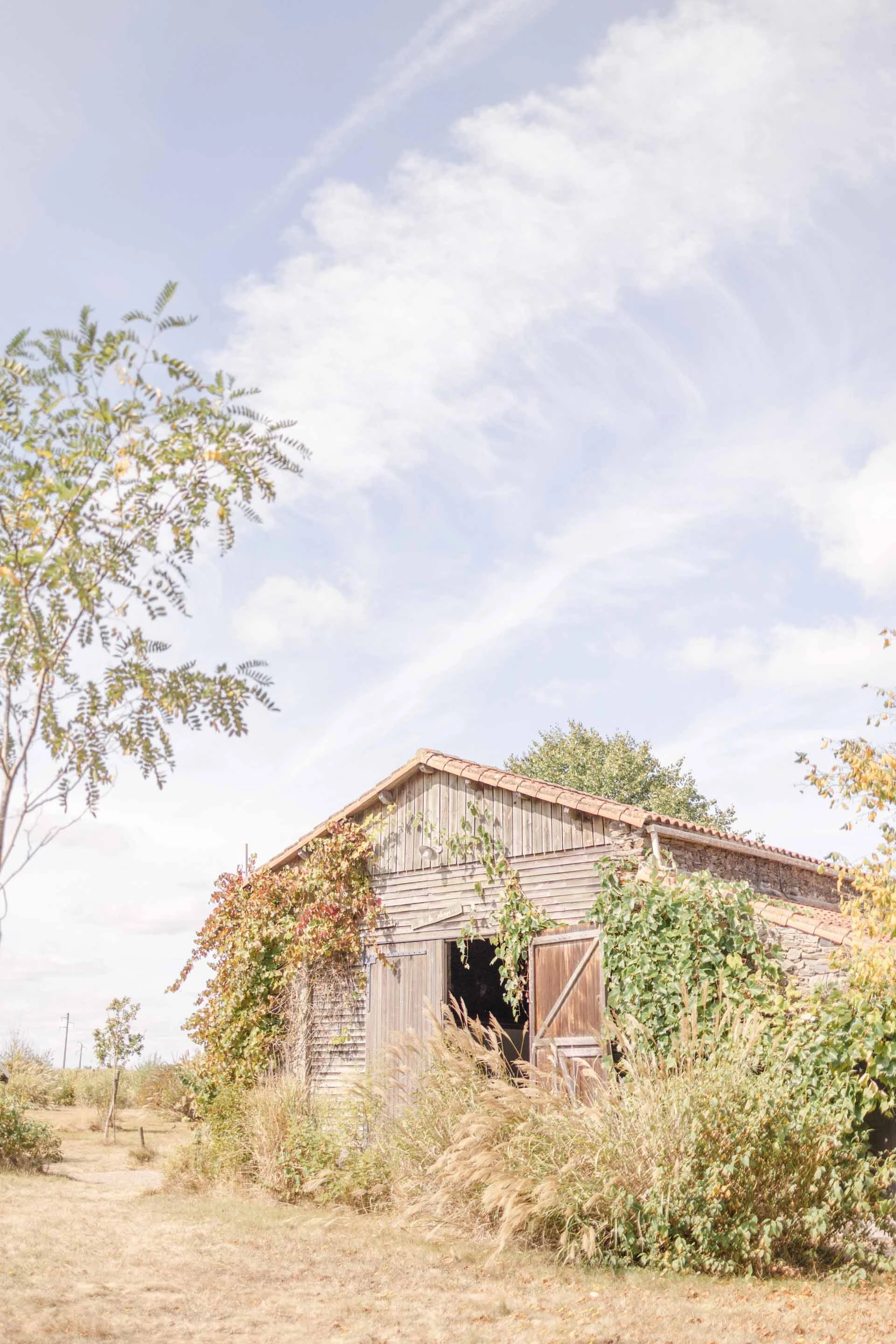 plantes hangar grange champ prairie
